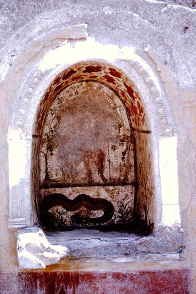 I.12.16 Pompeii. 1964. Room 1, niche on south wall of atrium. Photo by Stanley A. Jashemski.
Source: The Wilhelmina and Stanley A. Jashemski archive in the University of Maryland Library, Special Collections (See collection page) and made available under the Creative Commons Attribution-Non Commercial License v.4. See Licence and use details.
J64f1715
Kuivalainen describes this as III Style 
A youth stands on a simple dark terrain line against a white background. His weight is on his right foot and he wears boots and a long red cloak reaching the calves: in his right hand he probably holds a vessel, in his raised left hand a thyrsus with leaves. A panther sits on his left side, facing him. On the extreme left grows a vine, which forms an arch above the composition. On the vault there are red and orange flowers. Below is a lower zone with a huge slithering snake.
Kuivalainen comments 
A young half-naked Bacchus offering wine to a panther. A lone Bacchus in a lararium is a rare scene. Separate figurines were certainly added in front of the serpent.
See Kuivalainen, I., 2021. The Portrayal of Pompeian Bacchus. Commentationes Humanarum Litterarum 140. Helsinki: Finnish Society of Sciences and Letters, (p.114-15, C14).
