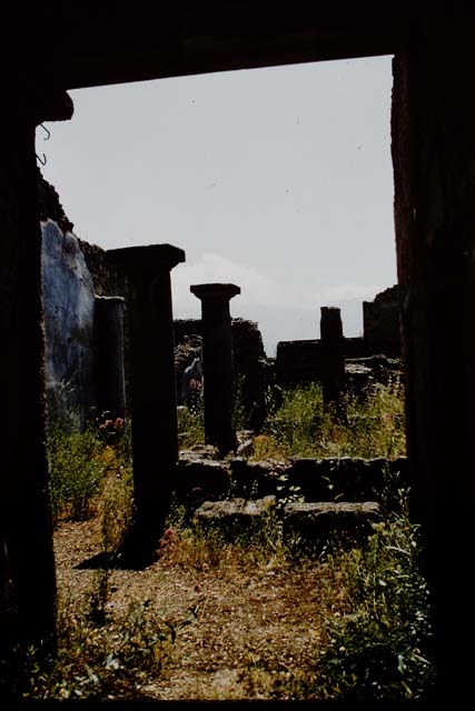 I.13.1 Pompeii. 1964. Looking south from entrance corridor. Photo by Stanley A. Jashemski.
Source: The Wilhelmina and Stanley A. Jashemski archive in the University of Maryland Library, Special Collections (See collection page) and made available under the Creative Commons Attribution-Non Commercial License v.4. See Licence and use details.
J64f1079

