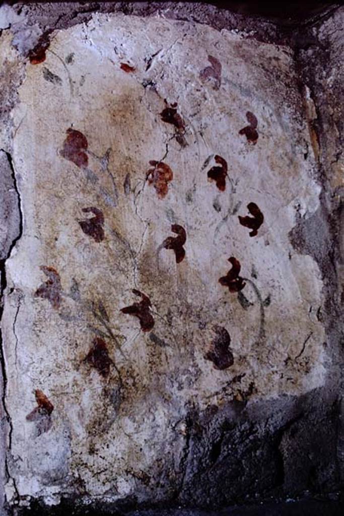 I.13.11 Pompeii. 1968. Detail from the south wall of the lararium niche. Photo by Stanley A. Jashemski.
Source: The Wilhelmina and Stanley A. Jashemski archive in the University of Maryland Library, Special Collections (See collection page) and made available under the Creative Commons Attribution-Non Commercial License v.4. See Licence and use details.
J68f1899
