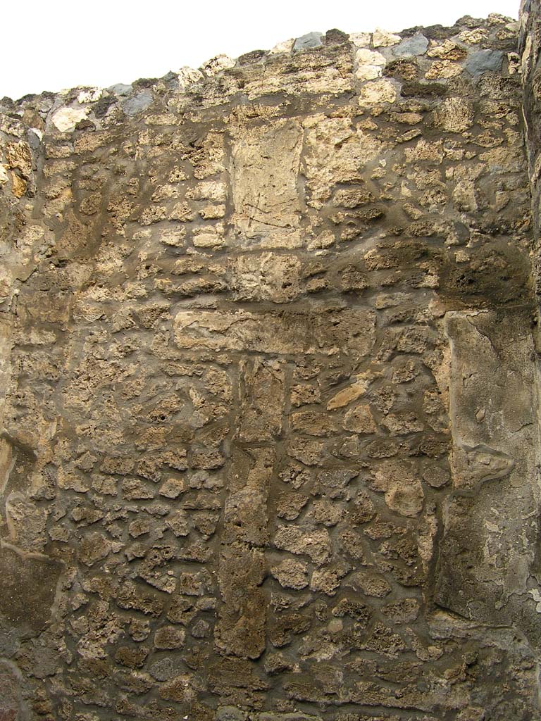 I.14.2 Pompeii. July 2008. Room C, south wall. Photo courtesy of Guilhem Chapelin. 

