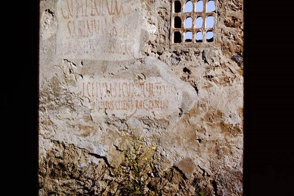 I.14.11 Pompeii. 1964. Painted inscriptions. Photo by Stanley A. Jashemski.
Source: The Wilhelmina and Stanley A. Jashemski archive in the University of Maryland Library, Special Collections (See collection page) and made available under the Creative Commons Attribution-Non Commercial License v.4. See Licence and use details.
J64f1516
