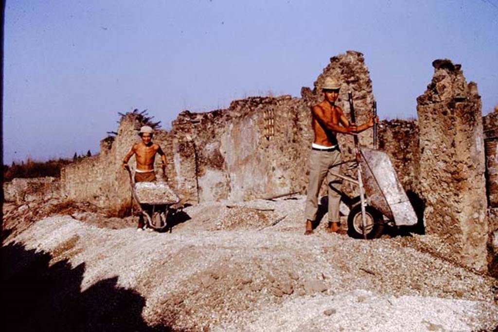 1.14.12, on right, Pompeii. 1972. Looking west along Via della PalestraI.14. Photo by Stanley A. Jashemski. 
Source: The Wilhelmina and Stanley A. Jashemski archive in the University of Maryland Library, Special Collections (See collection page) and made available under the Creative Commons Attribution-Non Commercial License v.4. See Licence and use details. J72f0596
