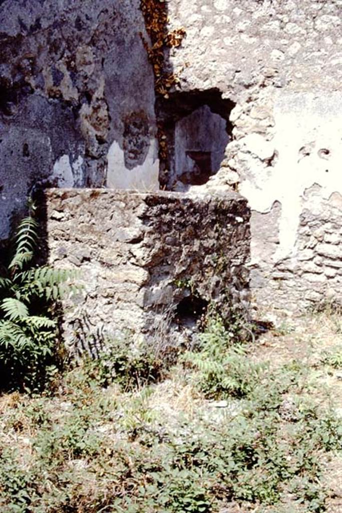 I.15.1 Pompeii. 1972. Detail of wall of latrine in north-west corner of room. Photo by Stanley A. Jashemski. 
Source: The Wilhelmina and Stanley A. Jashemski archive in the University of Maryland Library, Special Collections (See collection page) and made available under the Creative Commons Attribution-Non Commercial License v.4. See Licence and use details. J72f0648
