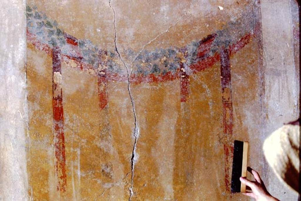 I.15.1 Pompeii, 1968. Tablinum, detail from second panel from north end of east wall. 
According to P.P.M., the decoration has white pillars from which hang ivy garlands and red, purple and green ribbons. 
Photo by Stanley A. Jashemski.
Source: The Wilhelmina and Stanley A. Jashemski archive in the University of Maryland Library, Special Collections (See collection page) and made available under the Creative Commons Attribution-Non Commercial License v.4. See Licence and use details.
J68f1262
See Carratelli, G. P., 1990-2003. Pompei: Pitture e Mosaici: Vol. II.  Roma: Istituto della enciclopedia italiana, p. 962. 
