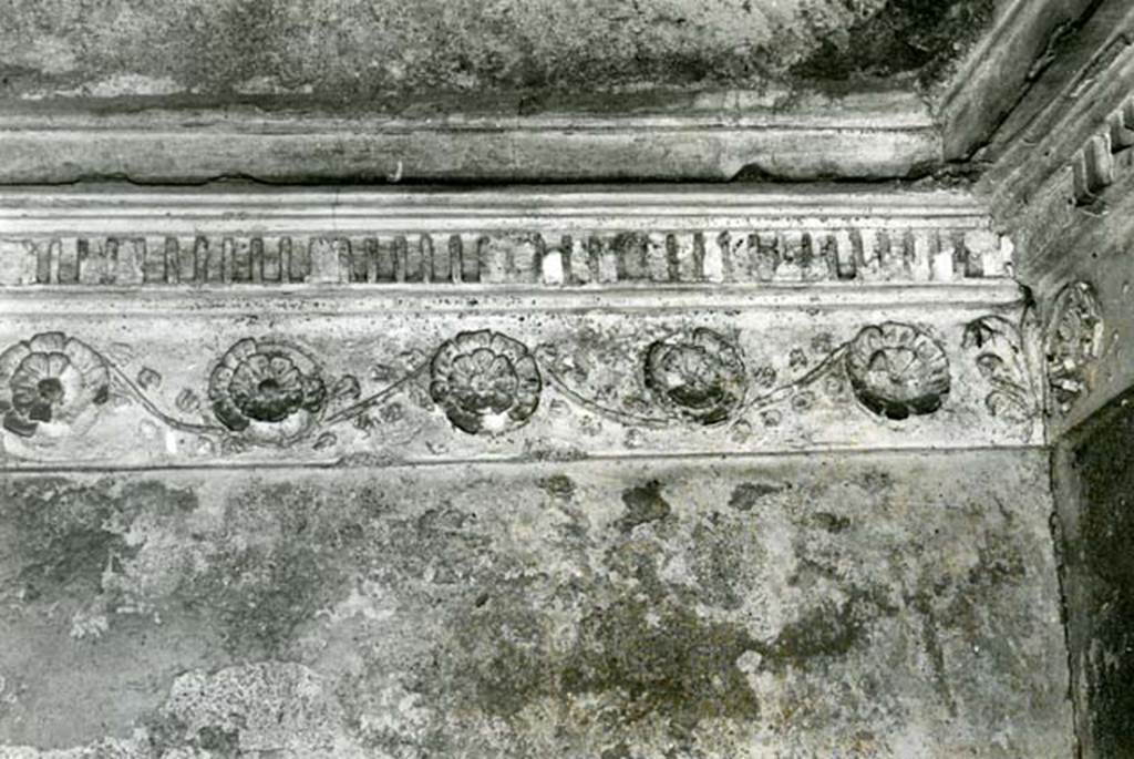 I.15.3 Pompeii. 1972. Room 6. House of Ship Europa, W cubiculum, back N wall, details of rosettes.  Photo courtesy of Anne Laidlaw.
American Academy in Rome, Photographic Archive. Laidlaw collection _P_72_17_19.
