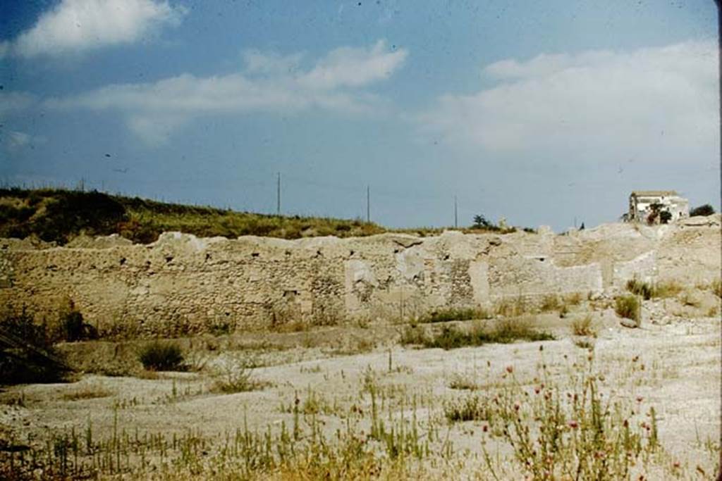 I.15.3 Pompeii. 1959. Looking north across garden 14 to rear of houses at I.15.3 and I.15.1, on right. Photo by Stanley A. Jashemski.
Source: The Wilhelmina and Stanley A. Jashemski archive in the University of Maryland Library, Special Collections (See collection page) and made available under the Creative Commons Attribution-Non Commercial License v.4. See Licence and use details.
J59f0197
