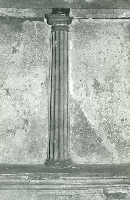 I.15.3 Pompeii. 1972. Room 4. House of Ship Europa, W cubiculum, detail of pilaster.  
Photo courtesy of Anne Laidlaw.
American Academy in Rome, Photographic Archive. Laidlaw collection _P_72_17_28.
