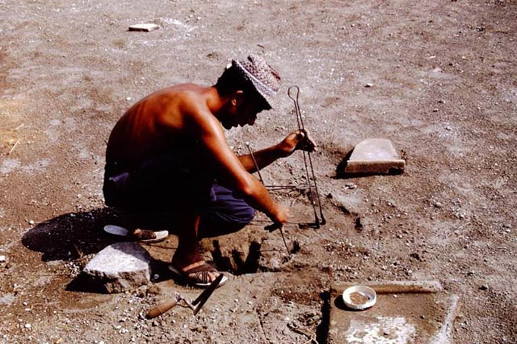 I.15.3 Pompeii. 1972. Cleaning of the root cavity. Photo by Stanley A. Jashemski. 
Source: The Wilhelmina and Stanley A. Jashemski archive in the University of Maryland Library, Special Collections (See collection page) and made available under the Creative Commons Attribution-Non Commercial License v.4. See Licence and use details. J72f0273
