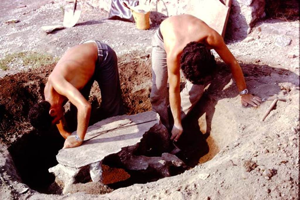 I.15.3 Pompeii, 1973. Tree-root cutting near rear doorway into I.15.5/6. Photo by Stanley A. Jashemski. 
Source: The Wilhelmina and Stanley A. Jashemski archive in the University of Maryland Library, Special Collections (See collection page) and made available under the Creative Commons Attribution-Non Commercial License v.4. See Licence and use details. J73f0513
