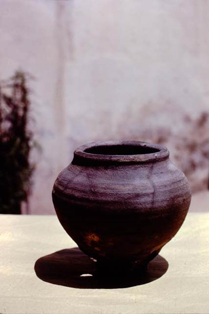 I.15.3 Pompeii, 1973. Detail of terracotta pot. Photo by Stanley A. Jashemski. 
Source: The Wilhelmina and Stanley A. Jashemski archive in the University of Maryland Library, Special Collections (See collection page) and made available under the Creative Commons Attribution-Non Commercial License v.4. See Licence and use details. J73f0190
