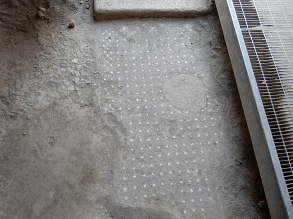 I.15.3 Pompeii. October 2017. Room 5, looking south across decorated flooring.
Foto Annette Haug, ERC Grant 681269 DÉCOR.
