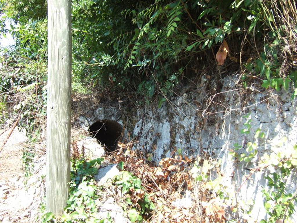 I.19 unexcavated area from roadway opposite I.2.22