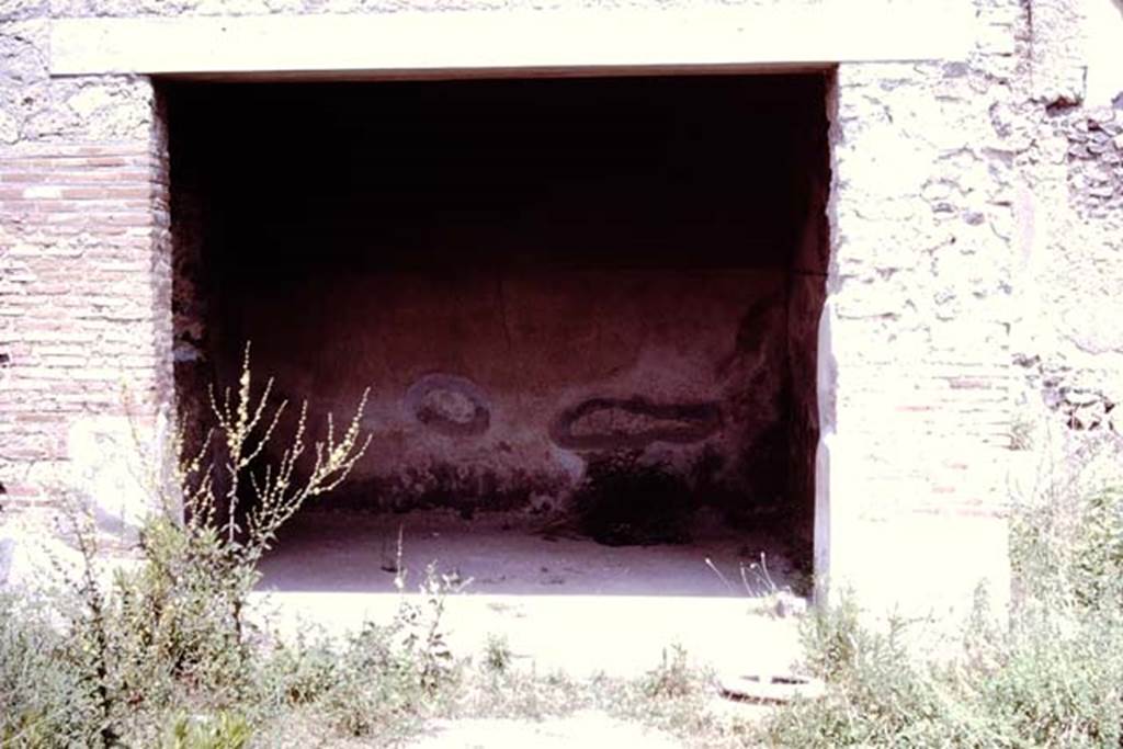 I.20.1 Pompeii. 1964. Looking east to small room on south side of entrance doorway.
According to Wilhelmina, this small one-room building, which had a good floor of signinum, was where the grapes from this vineyard would have been trodden.
See Jashemski, W. F., 1993. The Gardens of Pompeii, Volume II: Appendices. New York: Caratzas. (p.67).
Photo by Stanley A. Jashemski.
Source: The Wilhelmina and Stanley A. Jashemski archive in the University of Maryland Library, Special Collections (See collection page) and made available under the Creative Commons Attribution-Non Commercial License v.4. See Licence and use details.
J64f1283
