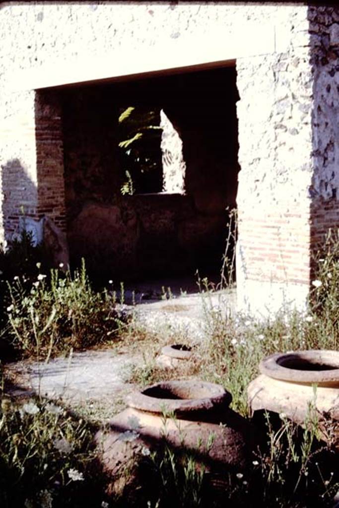 I.20.1 Pompeii. 1966. Looking north-east to small room, with large dolium buried in the soil at the edge of the soil, and two further dolia nearby.  Photo by Stanley A. Jashemski.
Source: The Wilhelmina and Stanley A. Jashemski archive in the University of Maryland Library, Special Collections (See collection page) and made available under the Creative Commons Attribution-Non Commercial License v.4. See Licence and use details.
J66f1039
