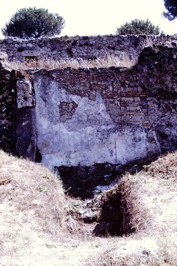 I.20.1 Pompeii. 1972. Remains of painted Lararium on east wall of vineyard, with steps to cellar.  Photo by Stanley A. Jashemski. 
Source: The Wilhelmina and Stanley A. Jashemski archive in the University of Maryland Library, Special Collections (See collection page) and made available under the Creative Commons Attribution-Non Commercial License v.4. See Licence and use details. J72f0560
