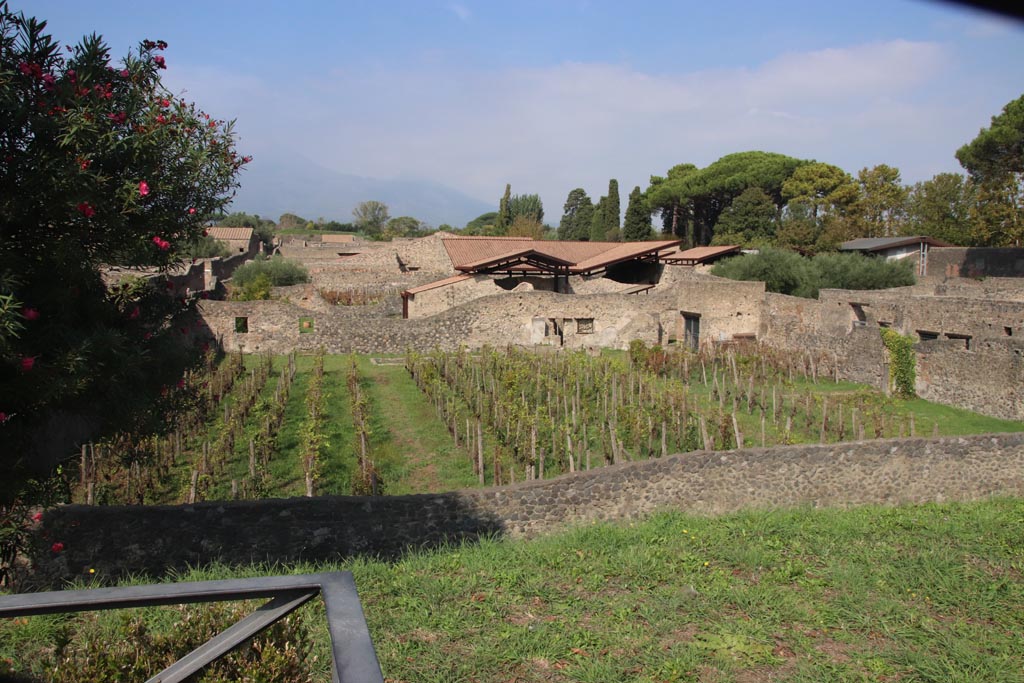 I.20.1 Pompeii. October 2023. Looking north across insula. Photo courtesy of Klaus Heese.