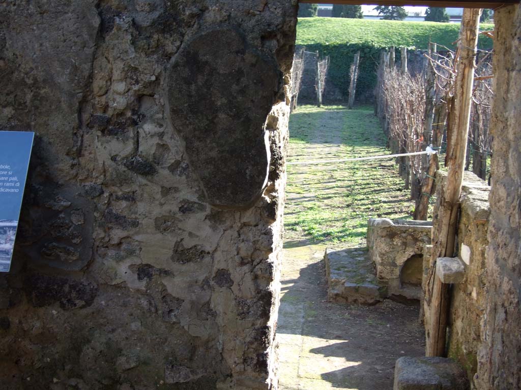 I.20.1 Pompeii. December 2006. Looking south from I.20.2.