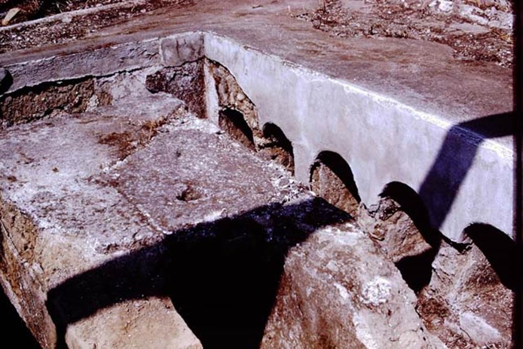 I.20.1 Pompeii. 1972. Detail of triclinium. Photo by Stanley A. Jashemski. 
Source: The Wilhelmina and Stanley A. Jashemski archive in the University of Maryland Library, Special Collections (See collection page) and made available under the Creative Commons Attribution-Non Commercial License v.4. See Licence and use details. J72f0557
