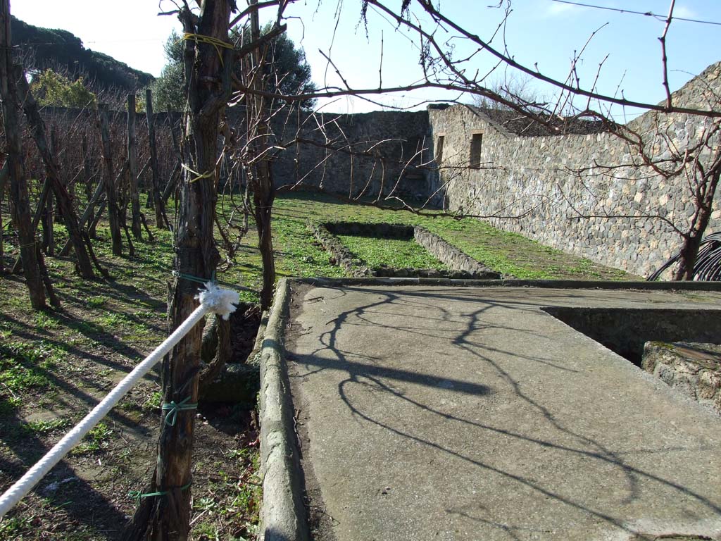 I.20.1 Pompeii. December 2006. Looking west across triclinium with fishpond at rear.