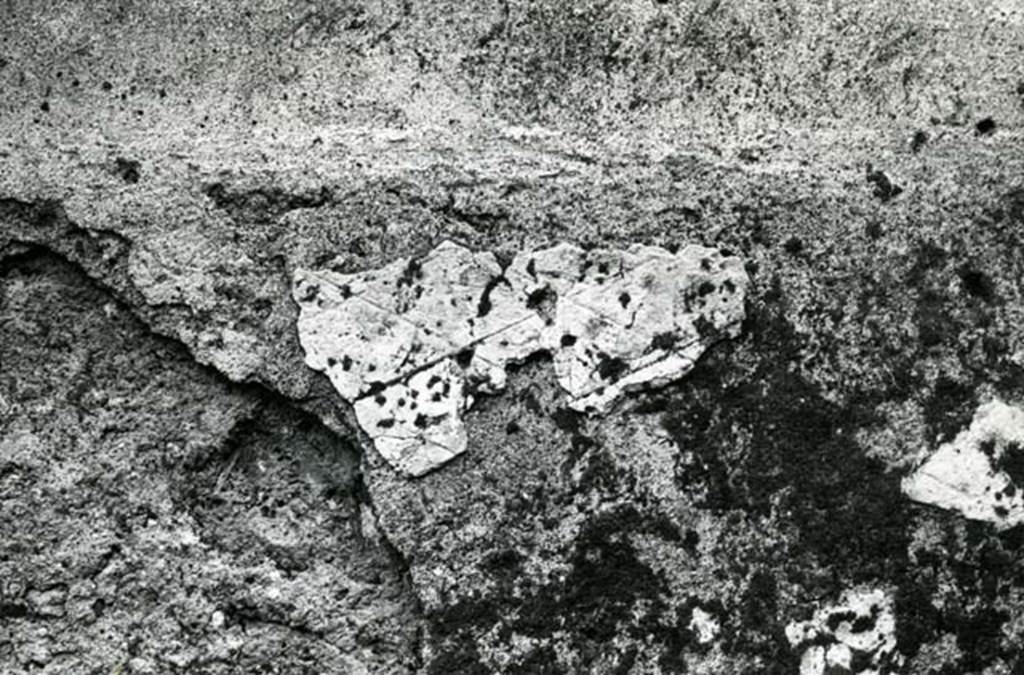 I.20.4 Pompeii. 1974. Shop House, room at NW corner, E wall, detail.  Photo courtesy of Anne Laidlaw.
American Academy in Rome, Photographic Archive. Laidlaw collection _P_74_1_25.
