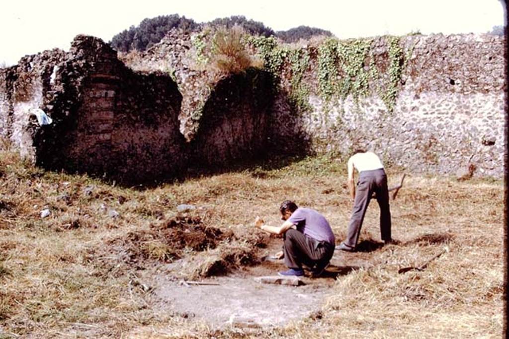 I.20.5 Pompeii. 1972. Starting to excavate the garden, looking towards the south-west corner. Photo by Stanley A. Jashemski. 
Source: The Wilhelmina and Stanley A. Jashemski archive in the University of Maryland Library, Special Collections (See collection page) and made available under the Creative Commons Attribution-Non Commercial License v.4. See Licence and use details. J72f0059
