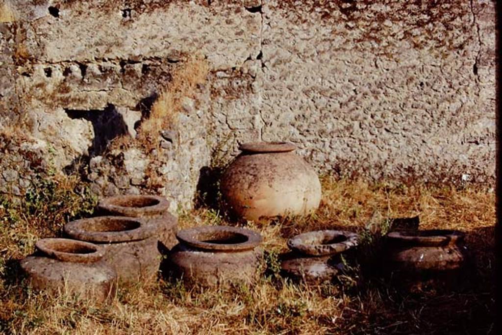 I.20.5 Pompeii. 1972. Dolia near east wall. Photo by Stanley A. Jashemski. 
Source: The Wilhelmina and Stanley A. Jashemski archive in the University of Maryland Library, Special Collections (See collection page) and made available under the Creative Commons Attribution-Non Commercial License v.4. See Licence and use details. J72f0195
According to Wilhelmina, the 8 dolia embedded in the garden and perhaps the one embedded in the rear shop would have been used for fermenting the must. 
See Jashemski, W. F., 1993. The Gardens of Pompeii, Volume II: Appendices. New York: Caratzas.  (p.67)
