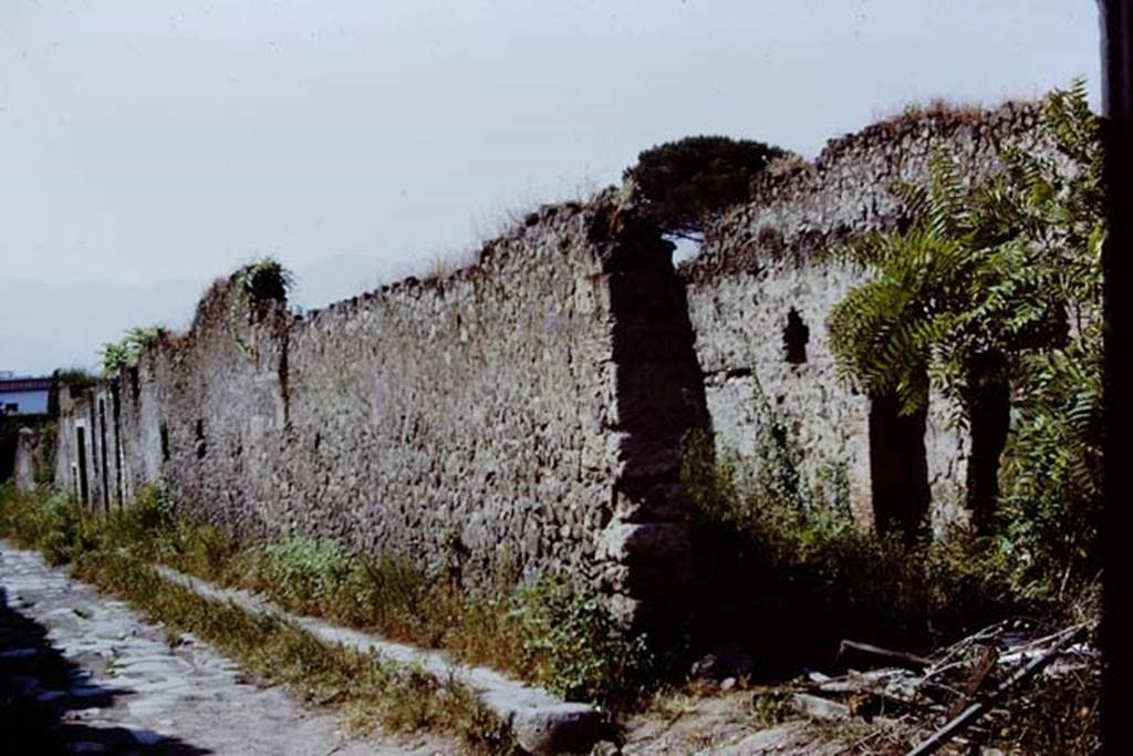 I.20.5 Pompeii, on right. 1971. Looking south along west side of Via di Nocera.  Photo by Stanley A. Jashemski.
Source: The Wilhelmina and Stanley A. Jashemski archive in the University of Maryland Library, Special Collections (See collection page) and made available under the Creative Commons Attribution-Non Commercial License v.4. See Licence and use details.
J71f0222
