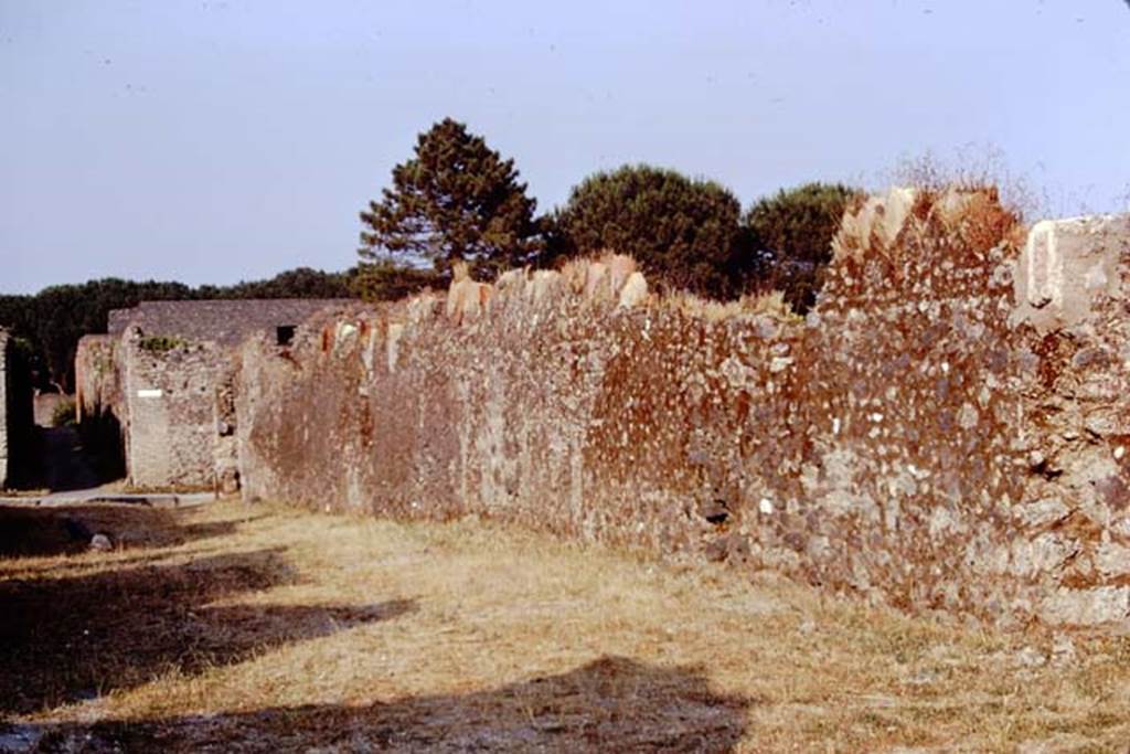 I.20.5 Pompeii, 1973. Looking east along exterior north wall in Via della Palestra. Note the addition of the limestone phallus, on the right. Photo by Stanley A. Jashemski. 
Source: The Wilhelmina and Stanley A. Jashemski archive in the University of Maryland Library, Special Collections (See collection page) and made available under the Creative Commons Attribution-Non Commercial License v.4. See Licence and use details. J73f0203
