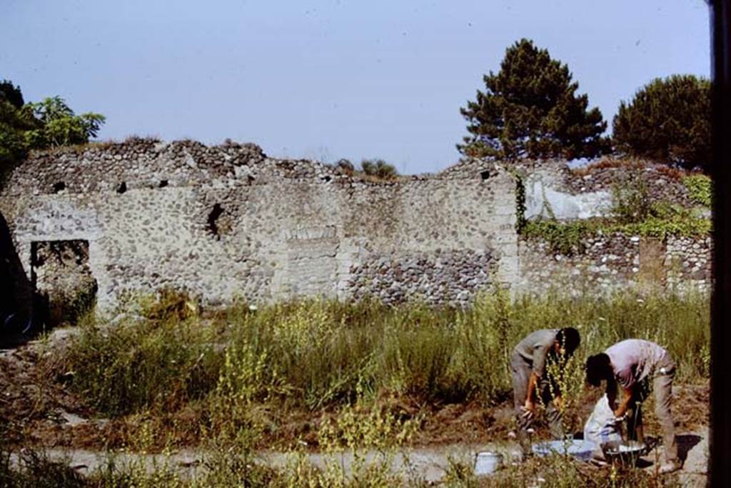 I.20.5 Pompeii. 1972. Looking across area of vineyard/garden towards east wall. hoto by Stanley A. Jashemski. 
Source: The Wilhelmina and Stanley A. Jashemski archive in the University of Maryland Library, Special Collections (See collection page) and made available under the Creative Commons Attribution-Non Commercial License v.4. See Licence and use details. J72f0323
