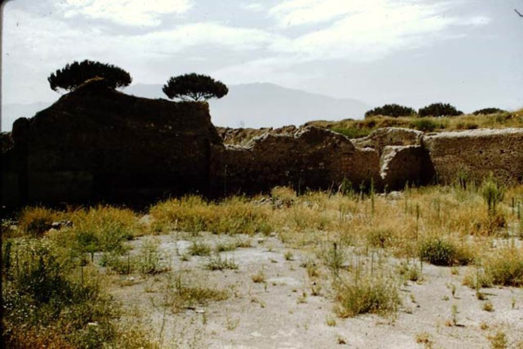 I.20.5 Pompeii. 1959. Looking south-west across the garden area.
Photo by Stanley A. Jashemski.
Source: The Wilhelmina and Stanley A. Jashemski archive in the University of Maryland Library, Special Collections (See collection page) and made available under the Creative Commons Attribution-Non Commercial License v.4. See Licence and use details.
J59f0497
