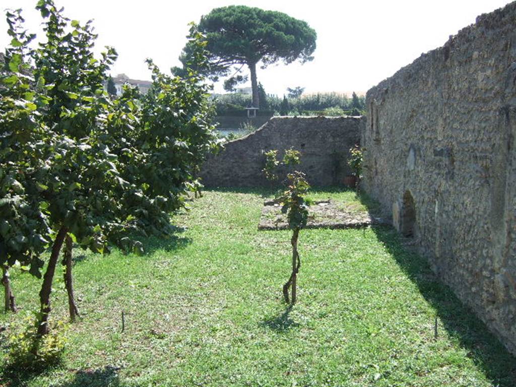 I.21.3 Pompeii. September 2005. Looking south along west wall.