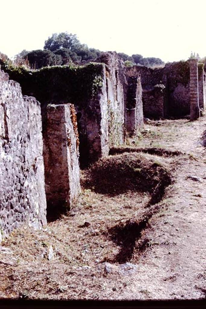 I.21.4 Pompeii. 1972. Looking west towards entrance doorway, linked with I.21.5 on the left. Looking west along Via della Palestra. Photo by Stanley A. Jashemski. 
Source: The Wilhelmina and Stanley A. Jashemski archive in the University of Maryland Library, Special Collections (See collection page) and made available under the Creative Commons Attribution-Non Commercial License v.4. See Licence and use details. J72f0576
