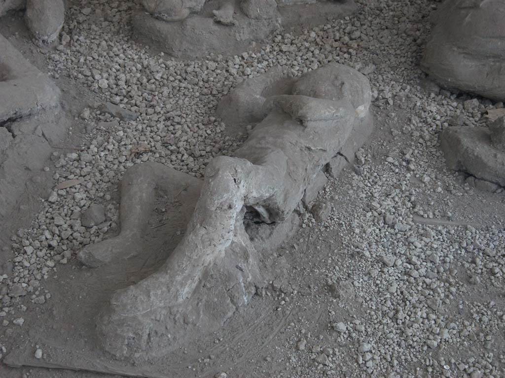 I.21.6 Pompeii. May 2016. Detail of a plaster casts of impression of a body.  
Photo courtesy of Buzz Ferebee.
