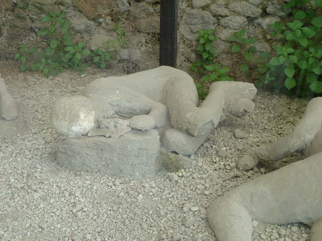 I.21.6 Pompeii. May 2010. Detail of plaster impression of a head of a child victim.