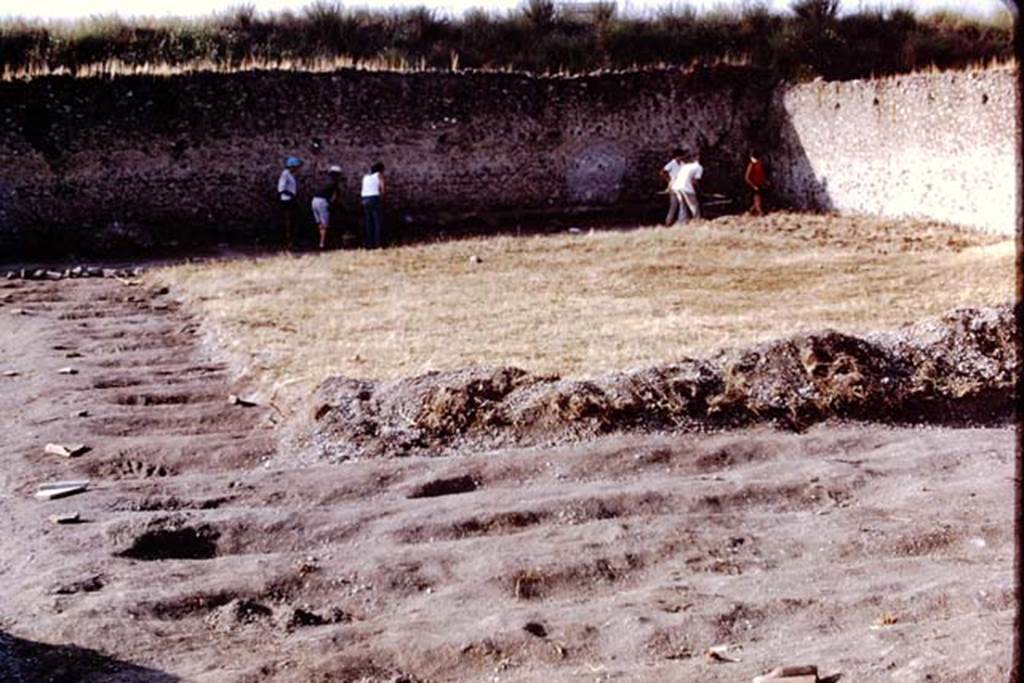 I.21.6 Pompeii. 1973. Looking towards south-west corner of site. Photo by Stanley A. Jashemski. 
Source: The Wilhelmina and Stanley A. Jashemski archive in the University of Maryland Library, Special Collections (See collection page) and made available under the Creative Commons Attribution-Non Commercial License v.4. See Licence and use details. J73f0472
