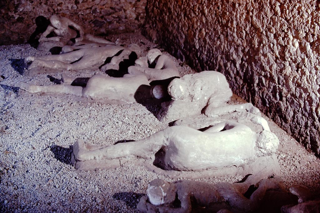 I.21.6 Pompeii.  December 2007.  Room housing plaster casts of 13 bodies.