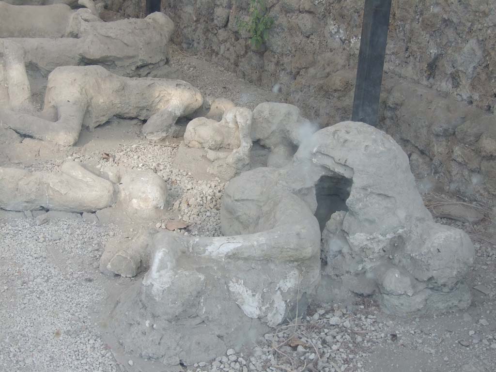 I.21.6 Pompeii. 1974. Area in south-east corner of site for housing the plaster-casts of the impression of the bodies found. Photo by Stanley A. Jashemski.   
Source: The Wilhelmina and Stanley A. Jashemski archive in the University of Maryland Library, Special Collections (See collection page) and made available under the Creative Commons Attribution-Non Commercial License v.4. See Licence and use details. J74f0306
According to Wilhelmina, when the site was excavated in 1961-62, the casts were removed from where they were found near the top of the volcanic fill, and moved to the rear of the garden into a screened shed. 
See Jashemski, W.F., 2014. Discovering the Gardens of Pompeii: Memoirs of a Garden Archaeologist, (p.215)
