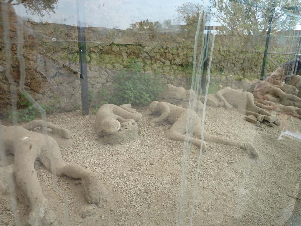 I.21.6 Pompeii.  Plaster casts of bodies.Photographed 1970-79 by Gnther Einhorn, picture courtesy of his son Ralf Einhorn
