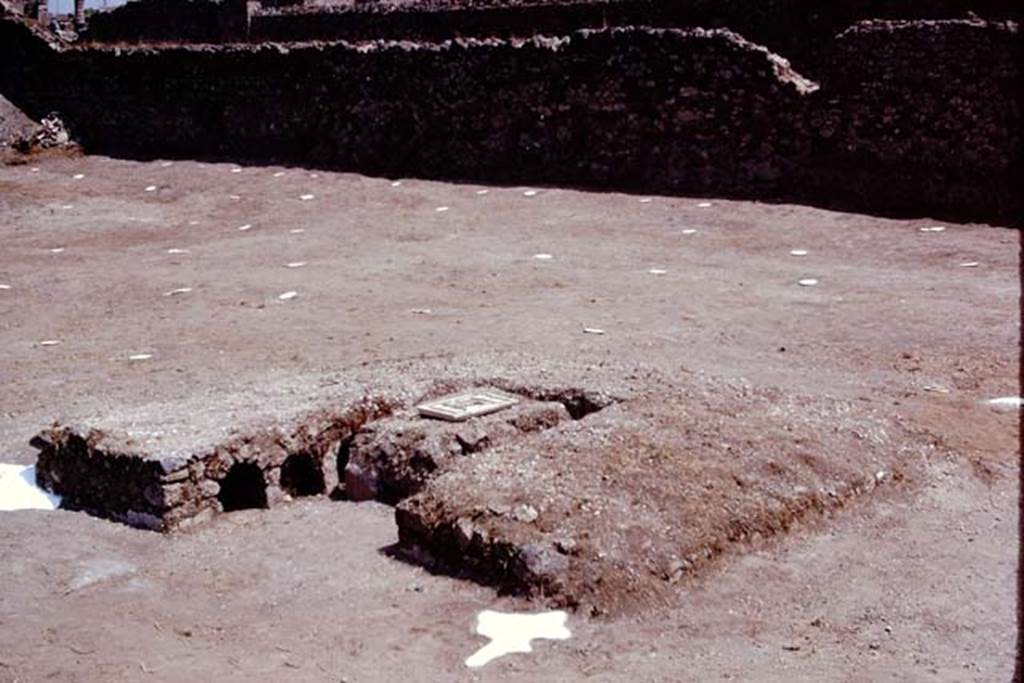 I.22 Pompeii. 1974. Triclinium with plaster-cast of root at either end.  Photo by Stanley A. Jashemski.   
Source: The Wilhelmina and Stanley A. Jashemski archive in the University of Maryland Library, Special Collections (See collection page) and made available under the Creative Commons Attribution-Non Commercial License v.4. See Licence and use details. J74f0464
