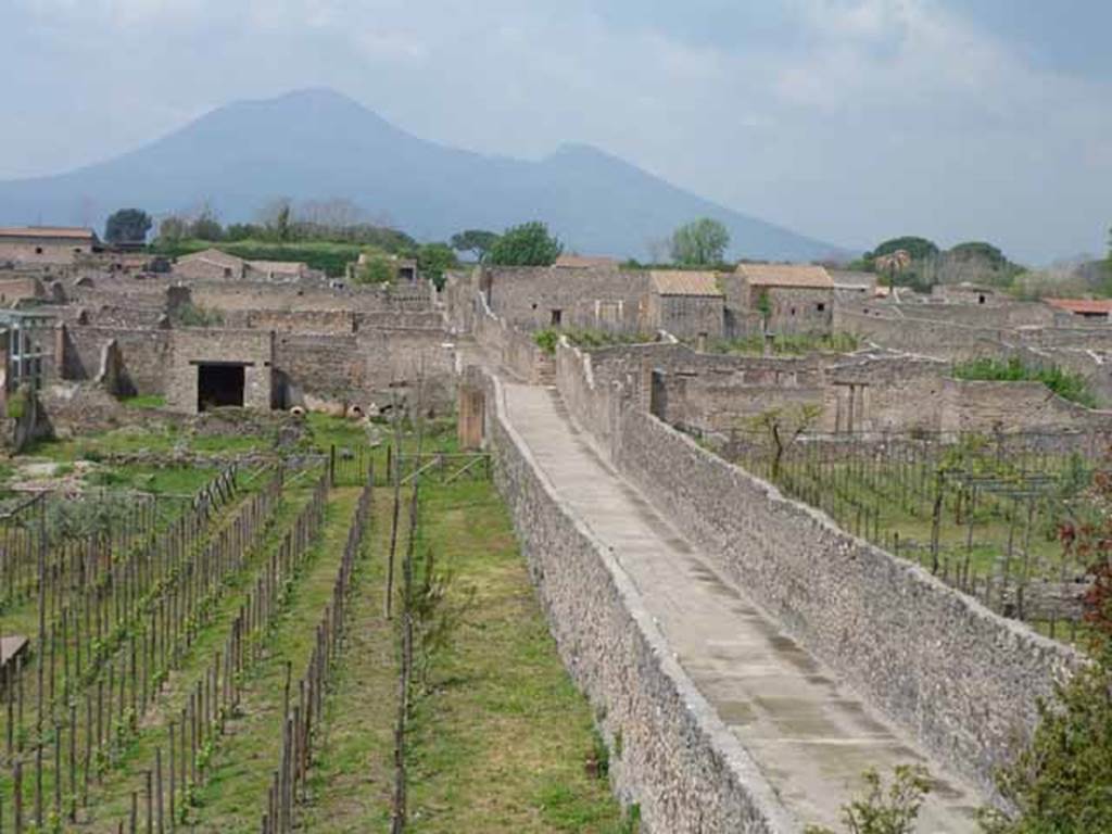 I.22.3 Pompeii. May 2010. Looking north towards the rear of I.22.3 visible on the left of the roadway.