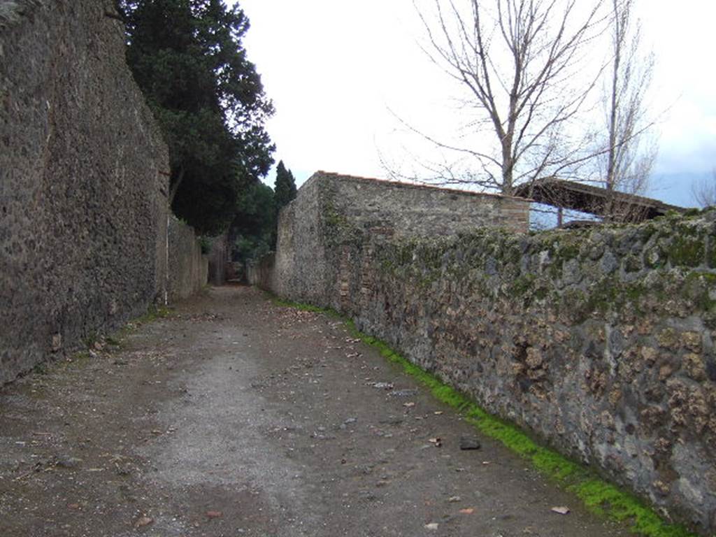 II.2 Pompeii. December 2005. Vicolo di Octavius Quartio looking south.  II.1.6 side wall. 