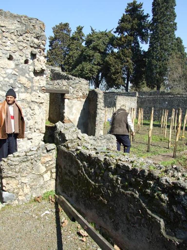 II.1.9 Pompeii. March 2009. Room 4, north-east corner of oecus, looking towards garden.
