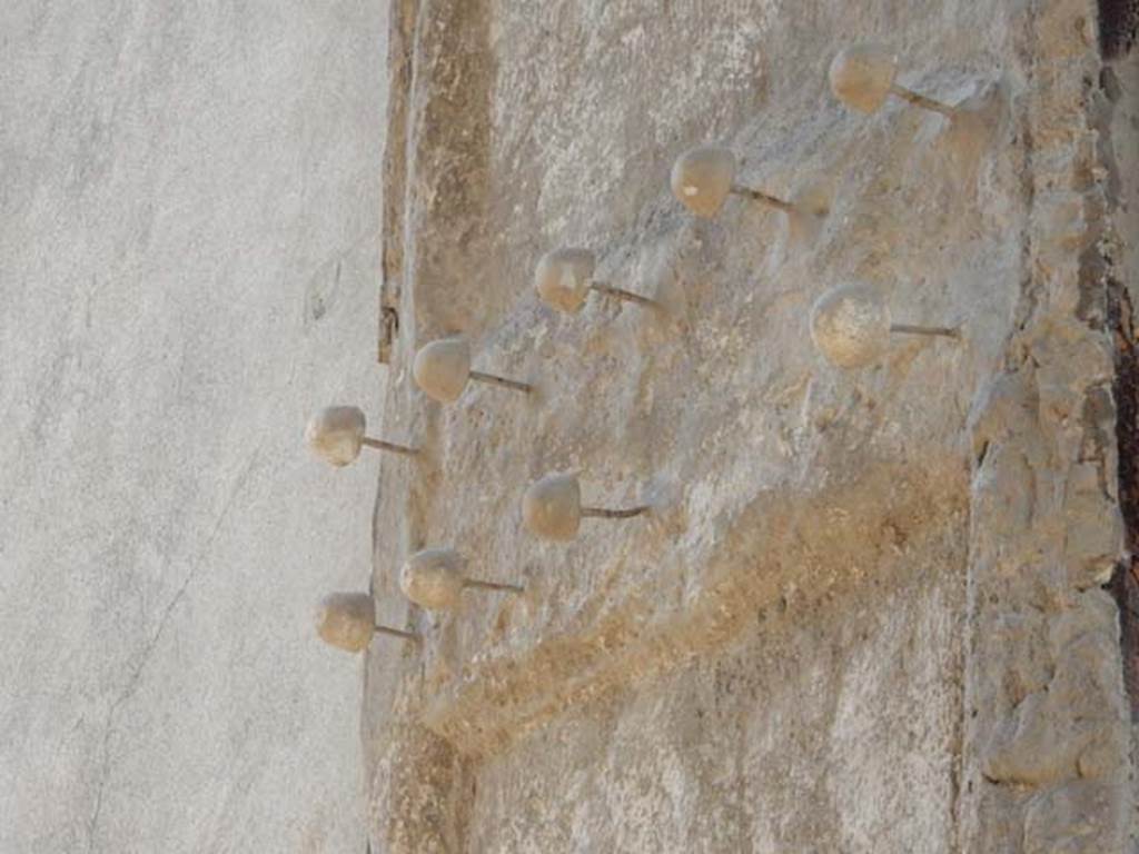 II.2.2 Pompeii. May 2016. Detail from plaster cast on west side. Photo courtesy of Buzz Ferebee.
