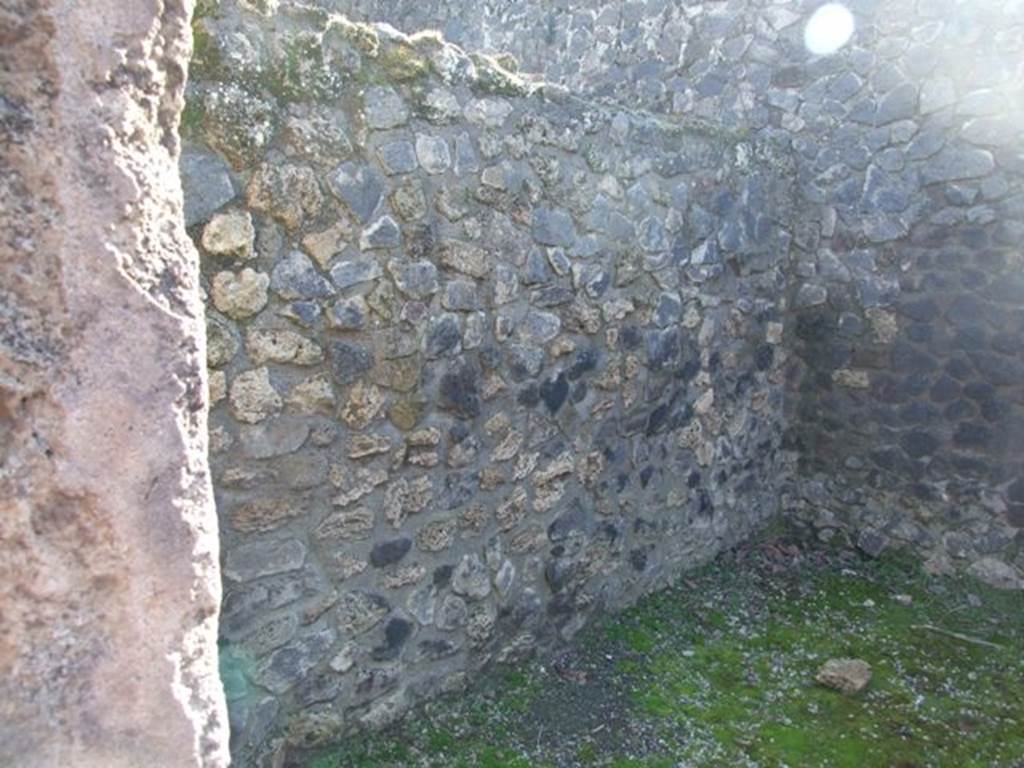 II.2.2 Pompeii. March 2009. Room 4, south wall of triclinium.