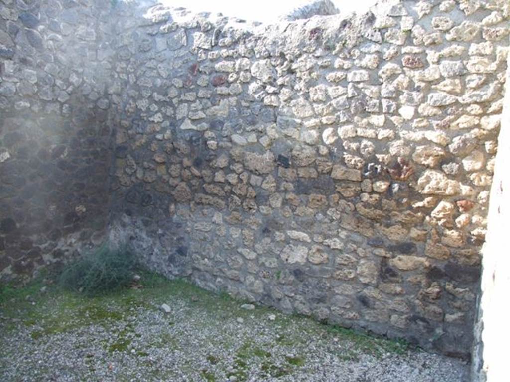 II.2.2 Pompeii. March 2009. Room 4, north wall of triclinium. 