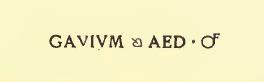 Gavium aed(ilem) o(ro) v(os) f(aciatis) [CIL IV 7537]