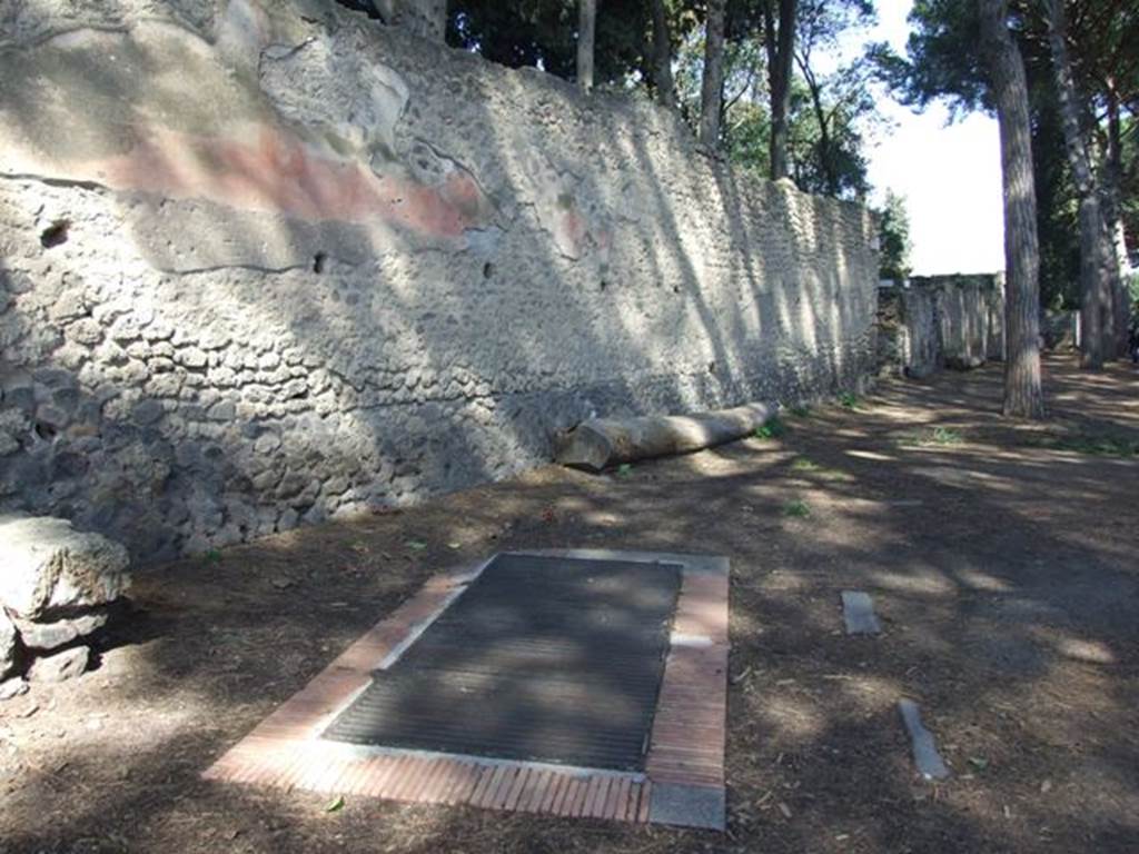 II.2.5 Pompeii. March 2009. Grating for the Sarno canal, outside the south wall of II.2.5  On the east side of the entrance doorway, the remains of painted graffiti was found.  According to Jacobelli, when found this painted plaster included a frieze of scenes of gladiators and their fights. On either side of the painting were electoral recommendations. Today they have completely disappeared. 
See Jacobelli, L., 2003. Gladiators at Pompeii.  Roma: L’Erma di Bretschneider. (p. 76) 
According to Varone and Stefani, on the east side from the doorway, CIL IV 7553 and CIL IV 7554 were found.
See Varone, A. and Stefani, G., 2009. Titulorum Pictorum Pompeianorum, Rome: L’erma di Bretschneider, (p.203-4)
According to Epigraphik-Datenbank Clauss/Slaby (See www.manfredclauss.de), they read –
Gavium  Rufum  IIvir(um)      [CIL IV 7553] 
Holconium 
Priscum  IIvir(um)  i(ure)  d(icundo)       [CIL IV 7554]
