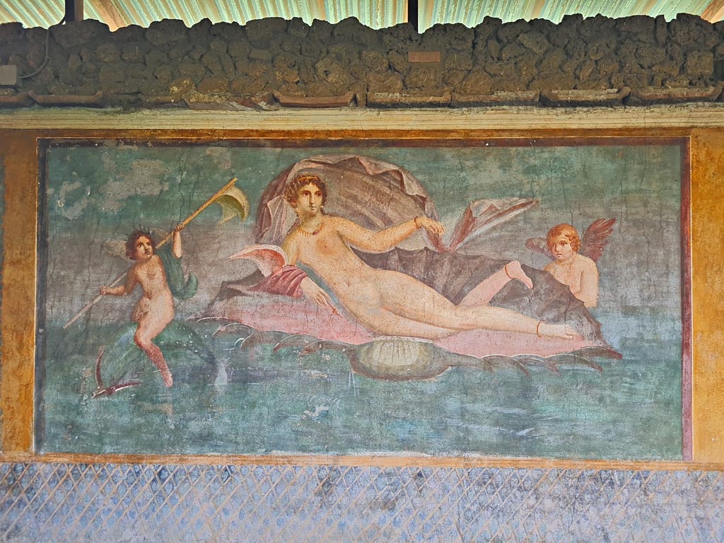 II.3.3 Pompeii. March 2024. 
Room 11, central panel from south wall with Venus/Aphrodite in a shell. Photo courtesy of Giuseppe Ciaramella.
