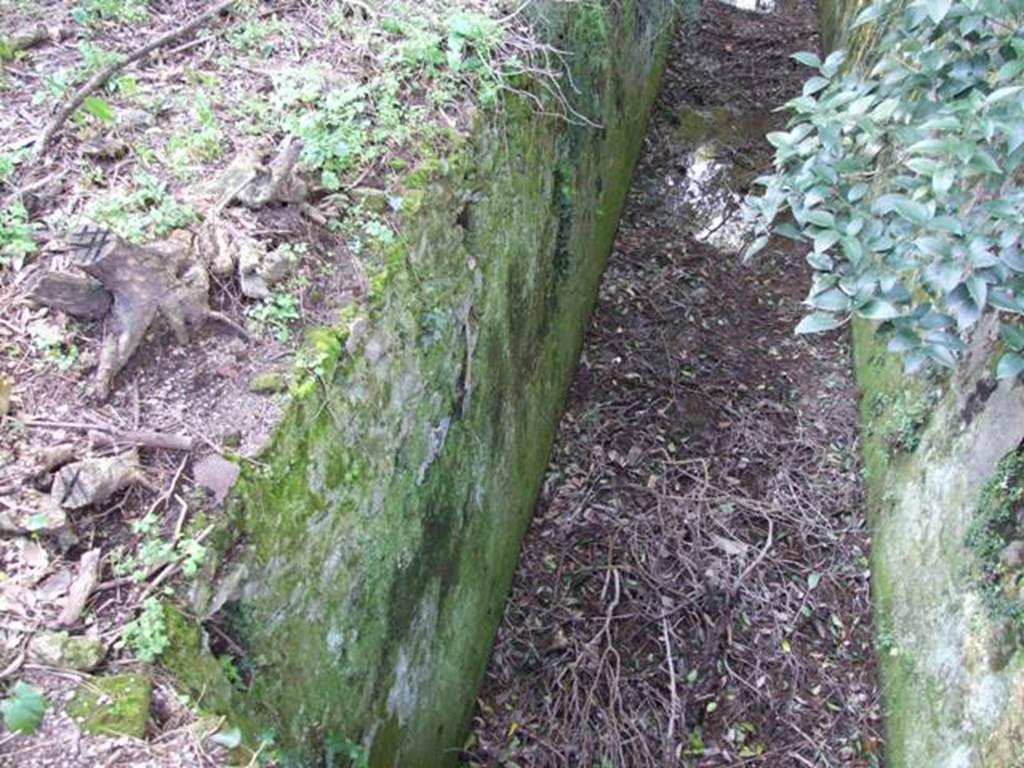 II.3.7 Pompeii. March 2009. Sarno canal in garden area.  