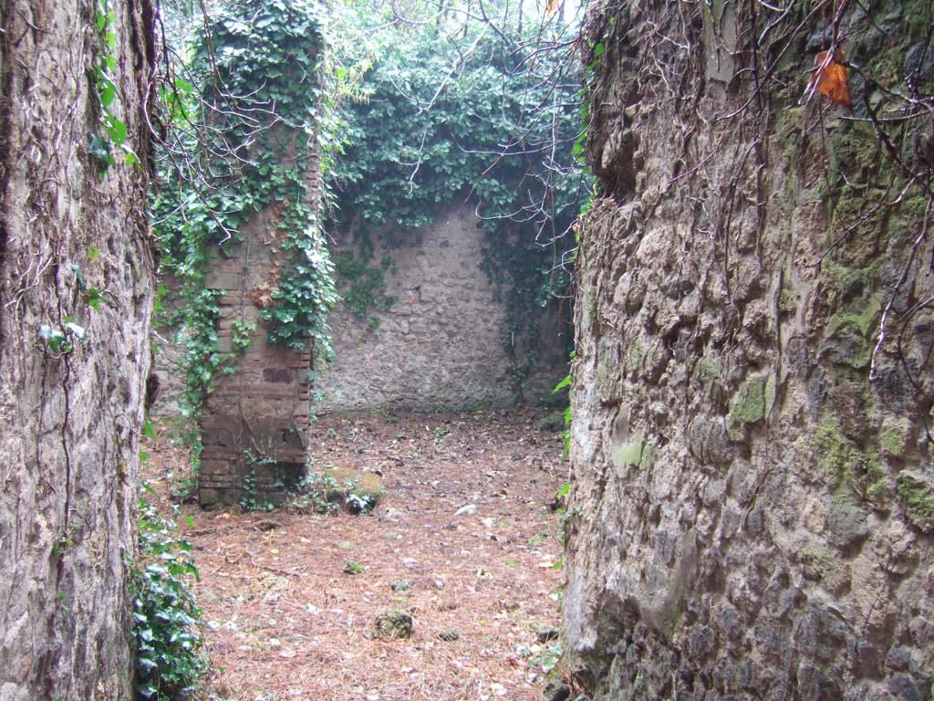 II.3.8 Pompeii. December 2005. Looking north towards atrium area, from entrance corridor.